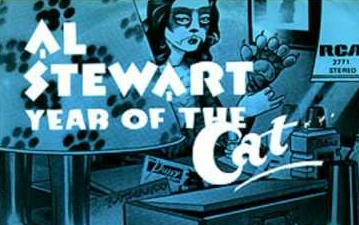 year of the cat
